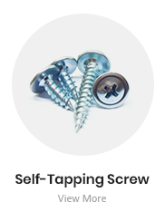 Self-Tapping Screw