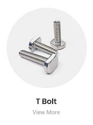 T Bolt