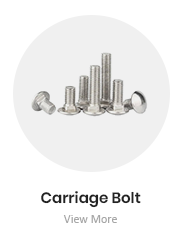 Carriage Bolt