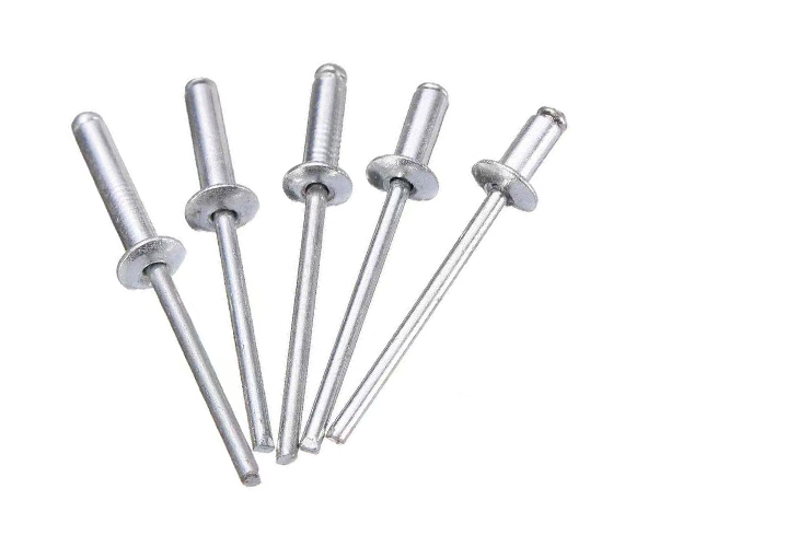 Rivets