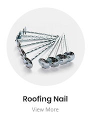 Roofing Nail