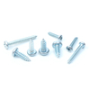 White Zinc Pan Head Self Tapping Screw Manufacturer
