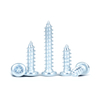 Galvanized Phillips Pan Head Self Tapping Screws